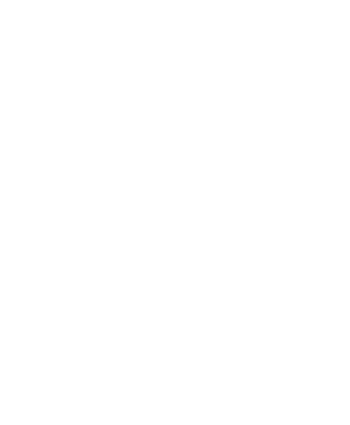 American Bonfire Co.