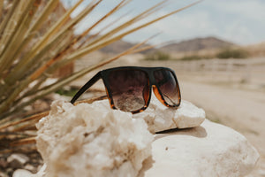 Ignite Shades in Black/Tortoise