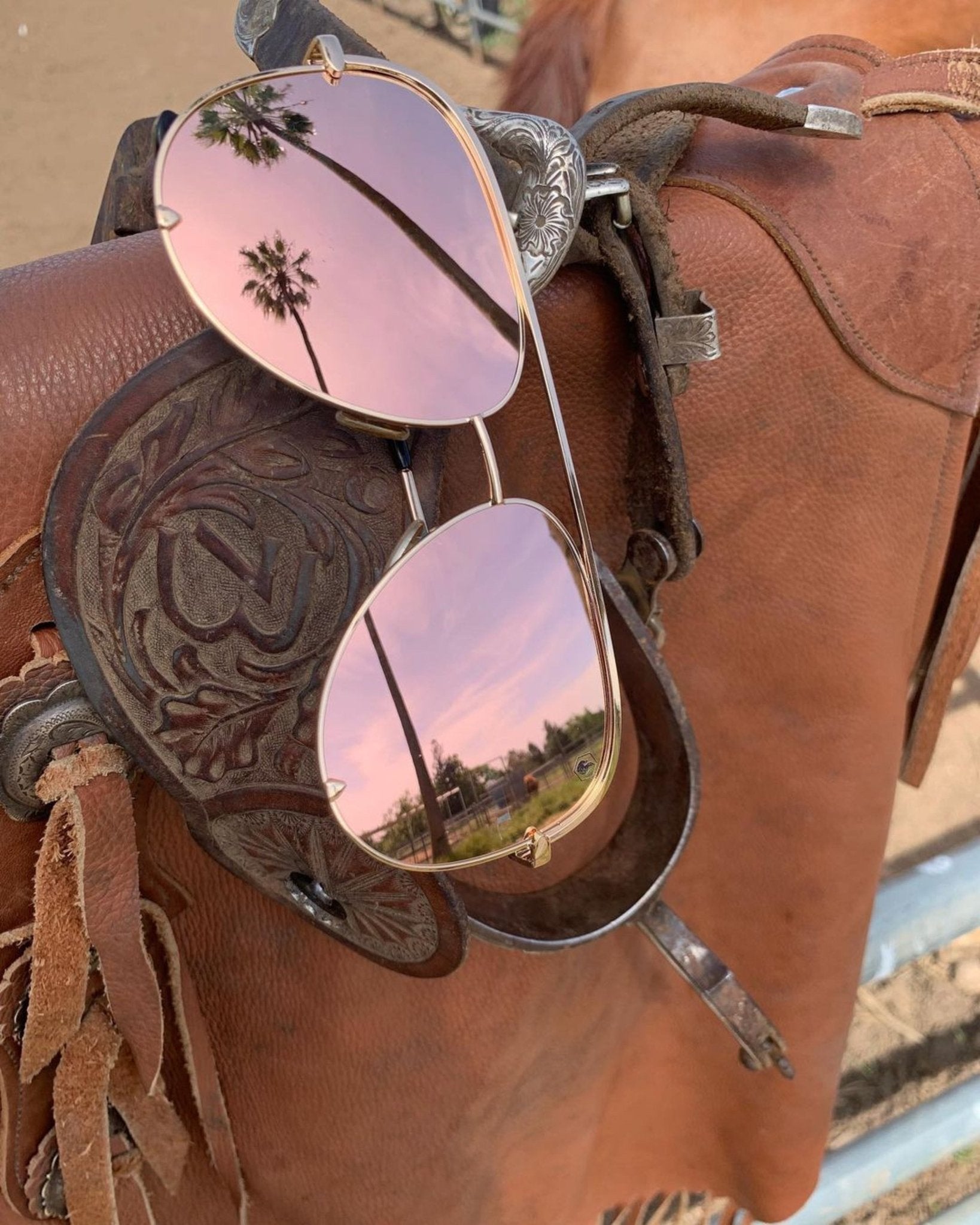Jaden Aviator in Pink Guitar - American Bonfire Co.